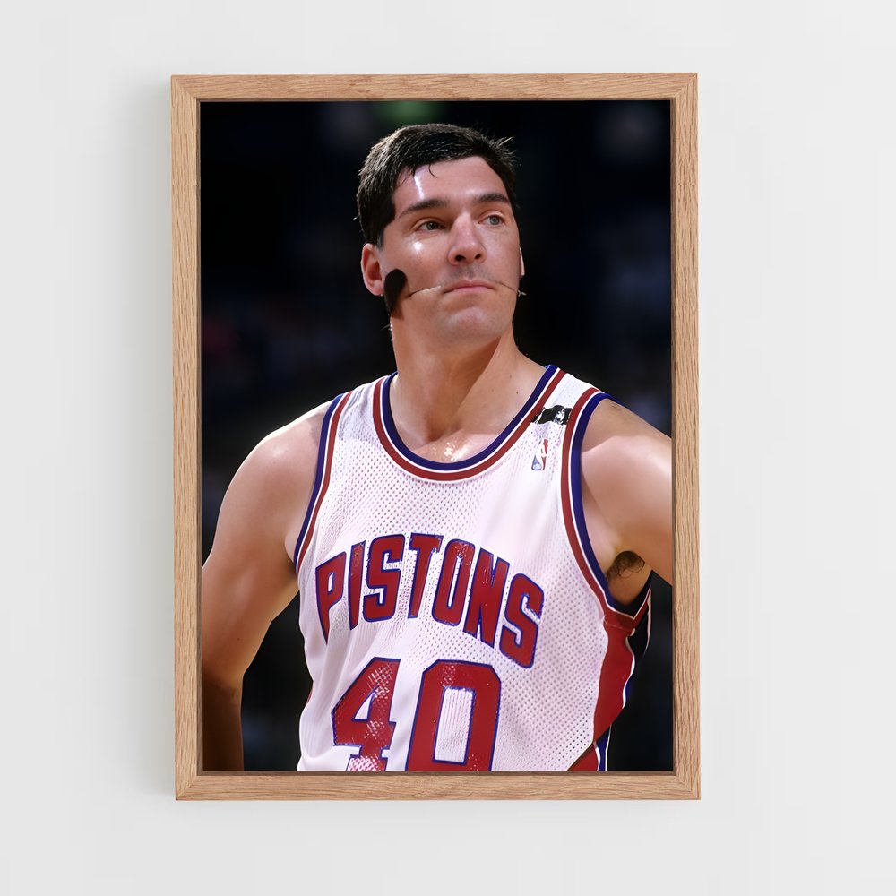 Poster L'Esprit des Pistons – affiche Basketball (vue 4)